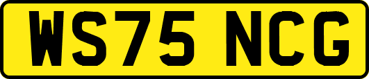 WS75NCG