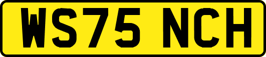 WS75NCH