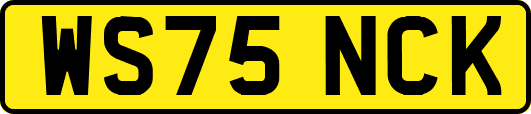 WS75NCK