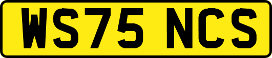 WS75NCS