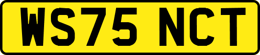 WS75NCT