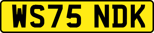 WS75NDK