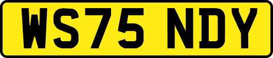 WS75NDY