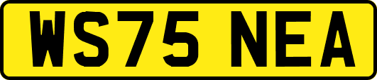 WS75NEA