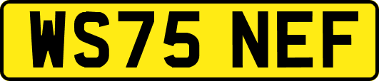 WS75NEF