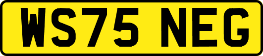 WS75NEG