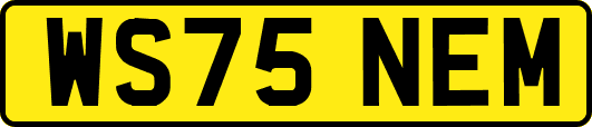 WS75NEM