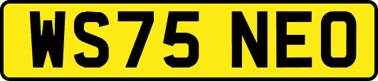 WS75NEO
