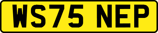 WS75NEP
