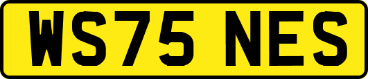 WS75NES
