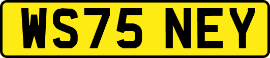 WS75NEY