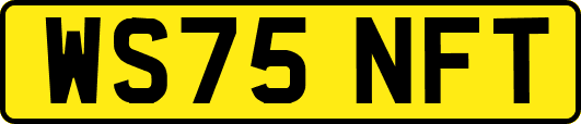 WS75NFT