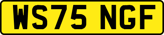 WS75NGF