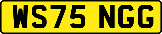WS75NGG