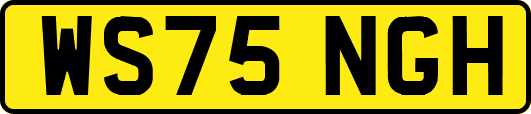 WS75NGH