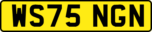 WS75NGN