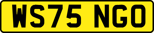 WS75NGO