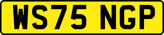 WS75NGP