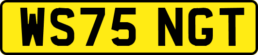 WS75NGT