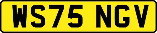 WS75NGV