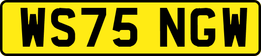 WS75NGW