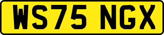 WS75NGX