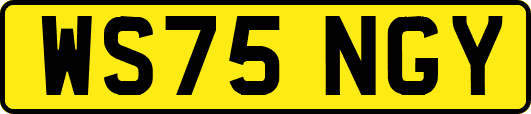 WS75NGY