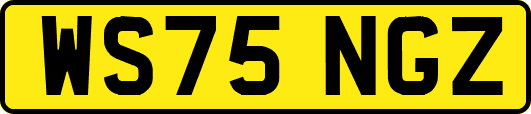 WS75NGZ