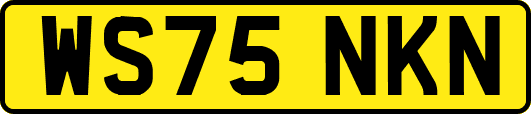 WS75NKN