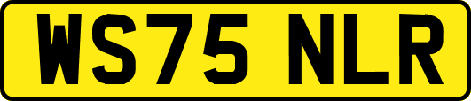 WS75NLR