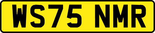 WS75NMR