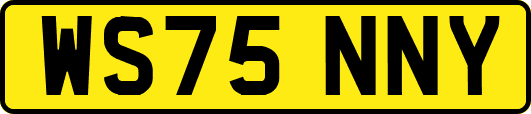 WS75NNY