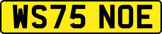 WS75NOE