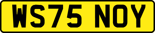 WS75NOY