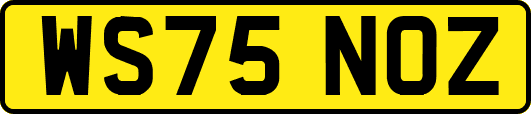 WS75NOZ