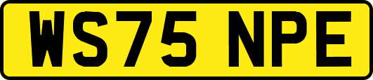 WS75NPE