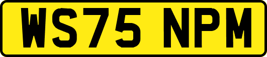 WS75NPM