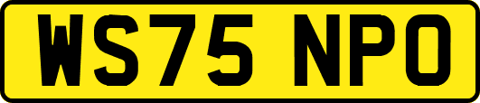 WS75NPO