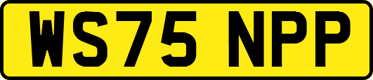 WS75NPP