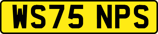 WS75NPS
