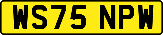 WS75NPW