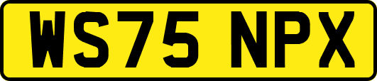 WS75NPX
