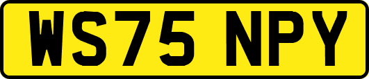 WS75NPY
