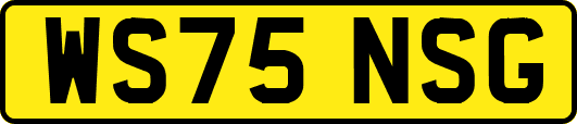 WS75NSG