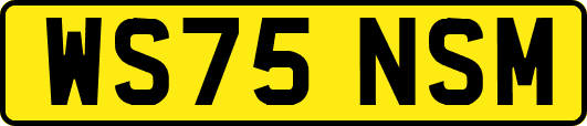 WS75NSM