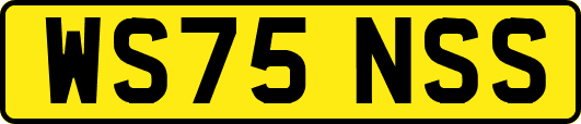 WS75NSS