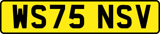 WS75NSV