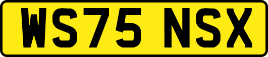WS75NSX