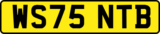 WS75NTB