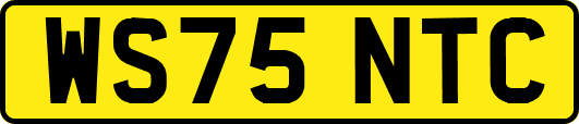 WS75NTC